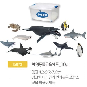 16873 해양동물교육세트_10p