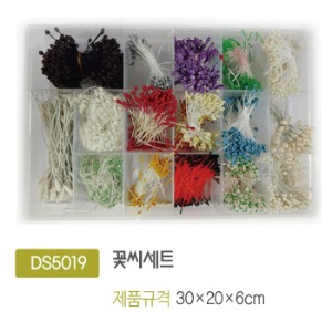 DS5019 꽃씨세트