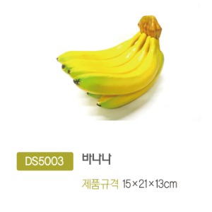 DS5003 바나나