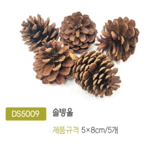 DS5009 솔방울