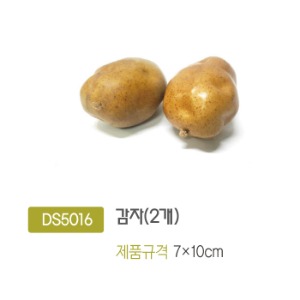 DS5016 감자(2개)