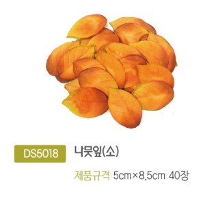 DS5018 나뭇잎(소)